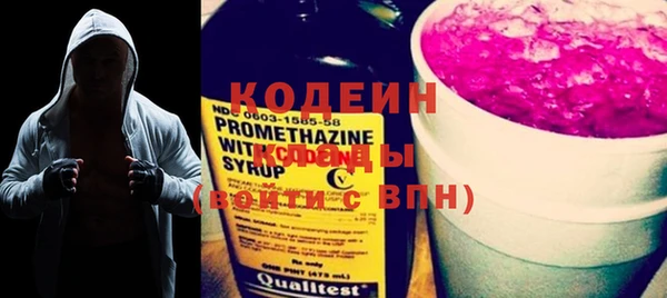 индика Вязьма