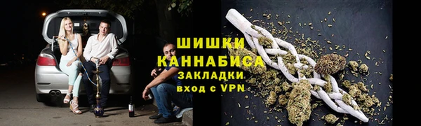 индика Вязьма