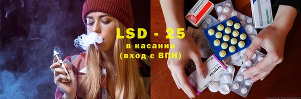 индика Вязьма