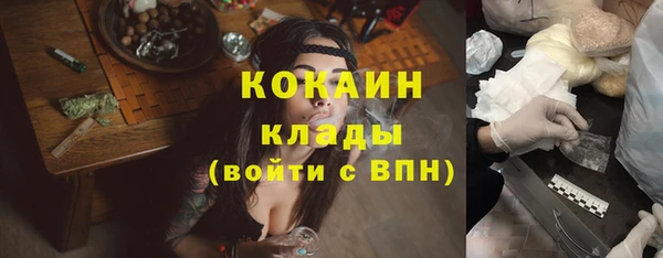 хмурый Бородино
