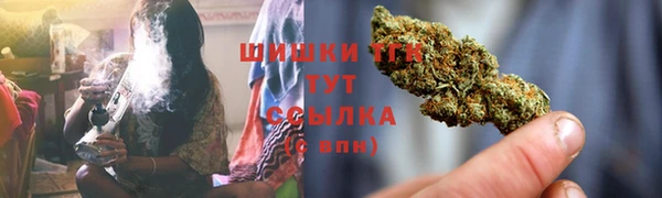 PSILOCYBIN Вязники