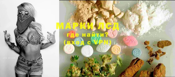 сатива Горно-Алтайск