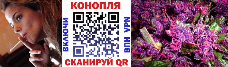 mega онион  Железногорск-Илимский  Бошки марихуана Amnesia  сайты даркнета официальный сайт  как найти  
